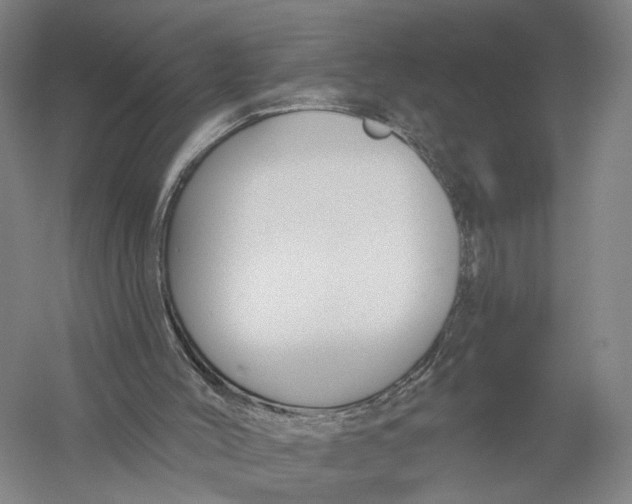 X0000056310004200509231932