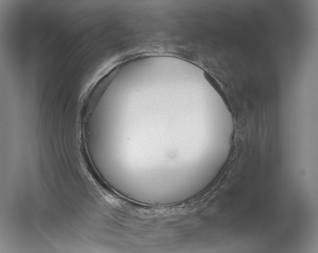 X0000056310005200509231932