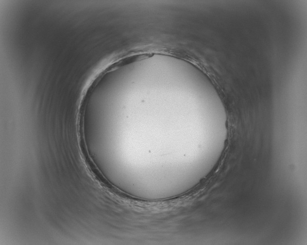 X0000056310006200509231932