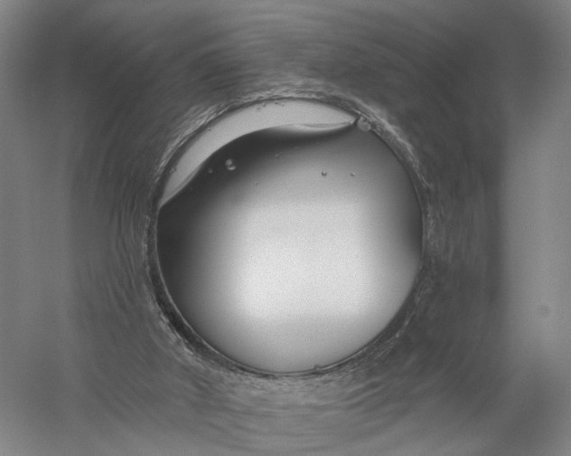 X0000056310010200509231932