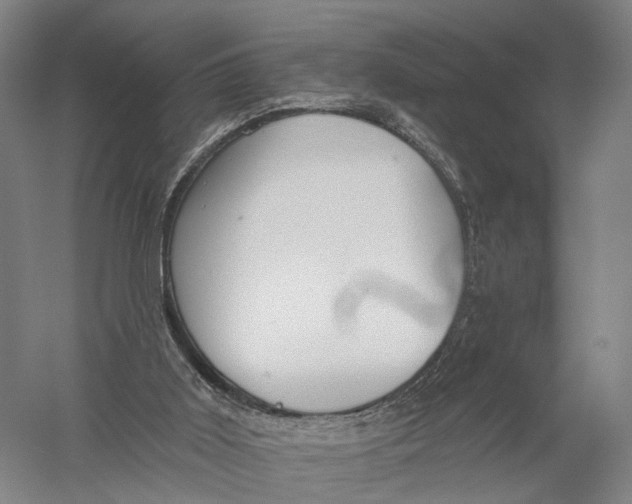 X0000056310011200509231932