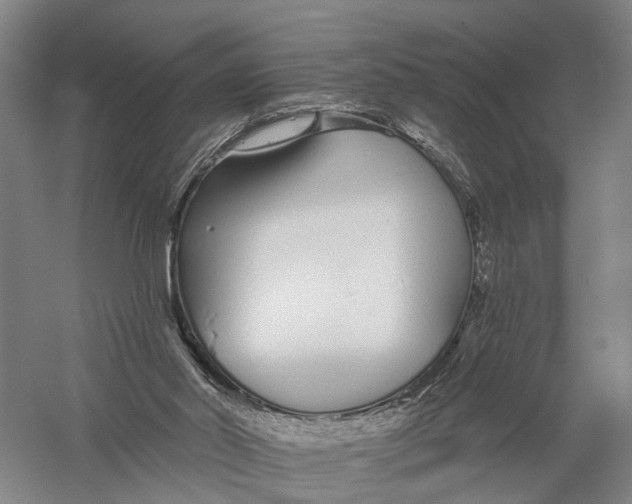 X0000056310014200509231932