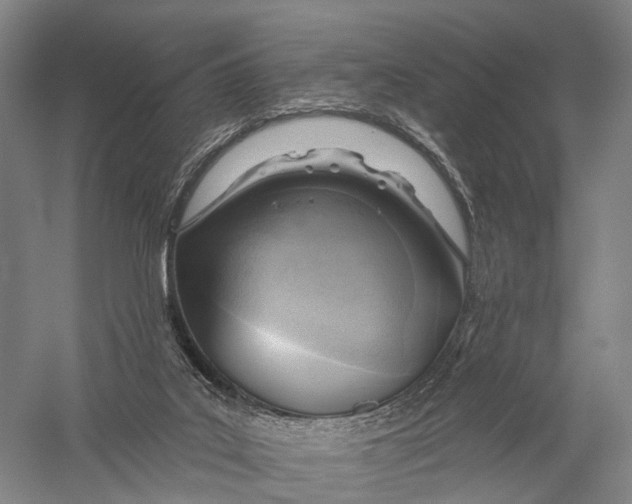 X0000056310019200509231932