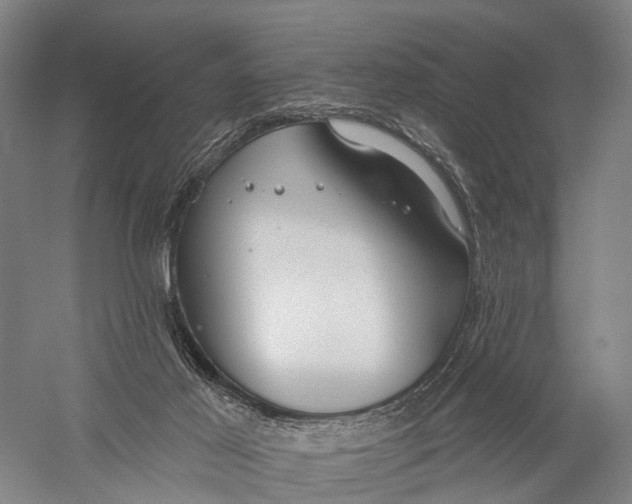 X0000056310021200509231932