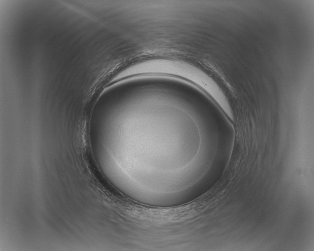 X0000056310023200509231932