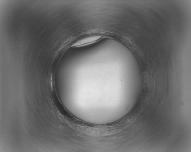 X0000056310024200509231932