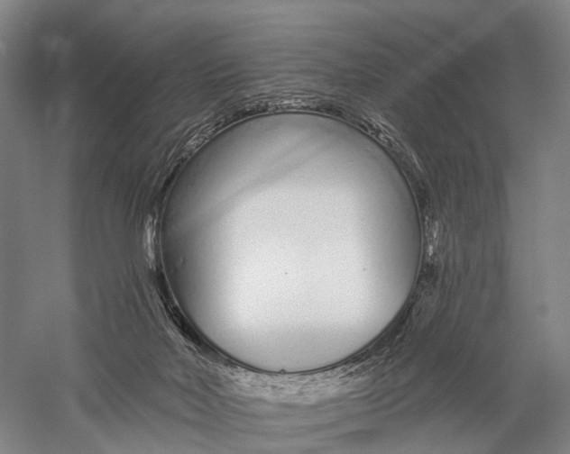 X0000056310026200509231932
