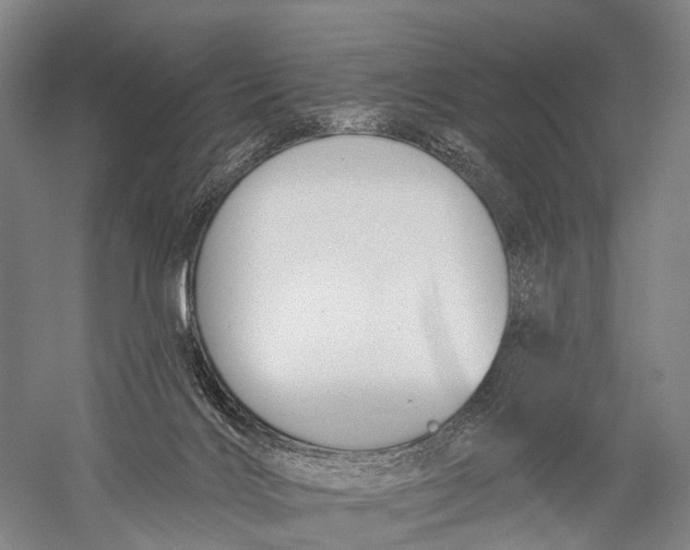 X0000056310028200509231932