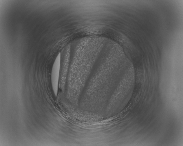 X0000056310029200509231932
