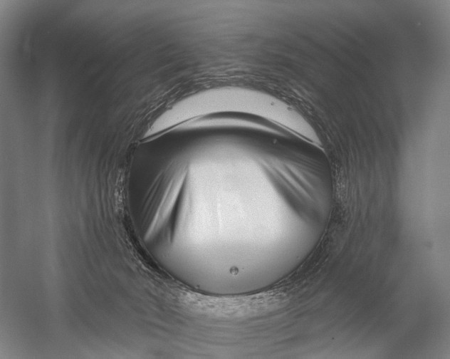 X0000056310030200509231932