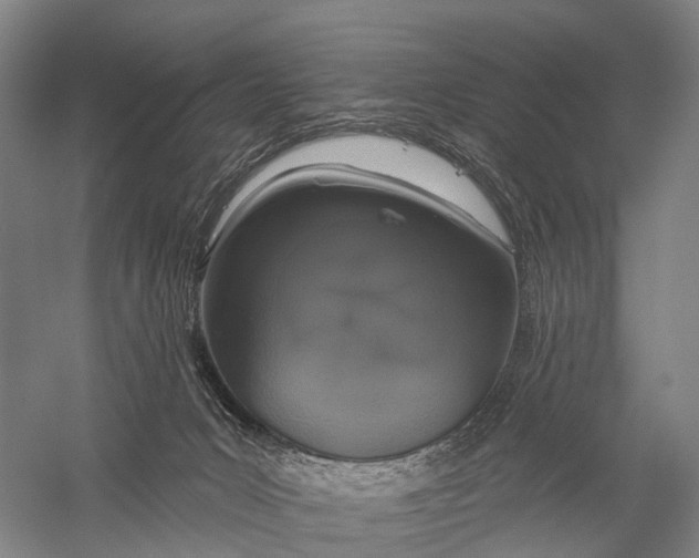 X0000056310031200509231932
