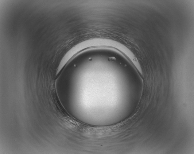 X0000056310033200509231932