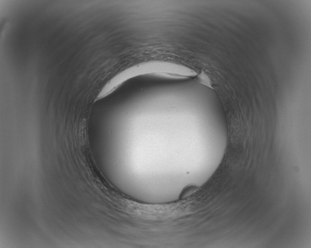 X0000056310034200509231932