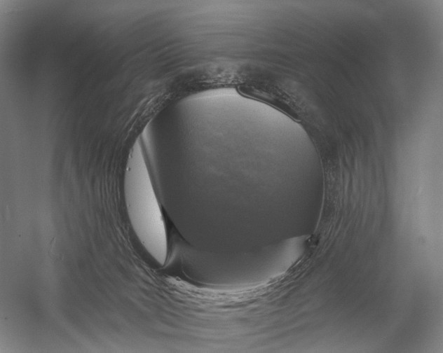 X0000056310035200509231932