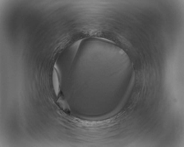 X0000056310039200509231932
