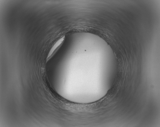 X0000056310040200509231932