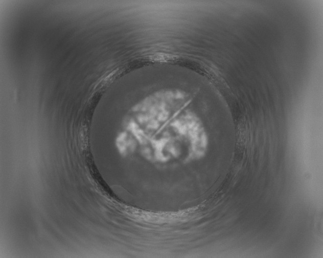 X0000056310043200509231932