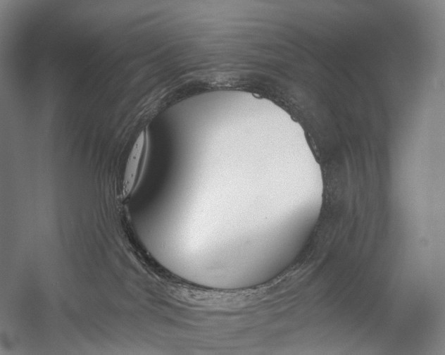 X0000056310044200509231932