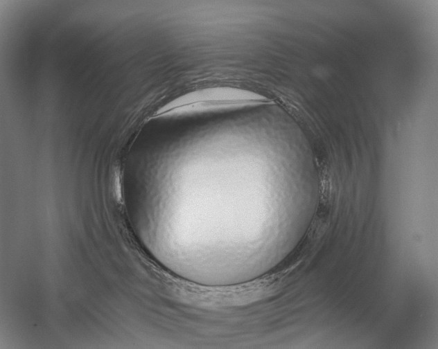 X0000056310046200509231932