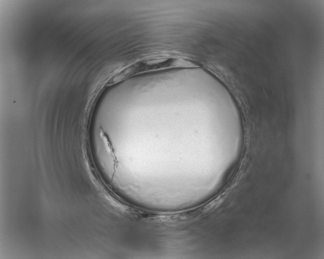 X0000056310049200509231931