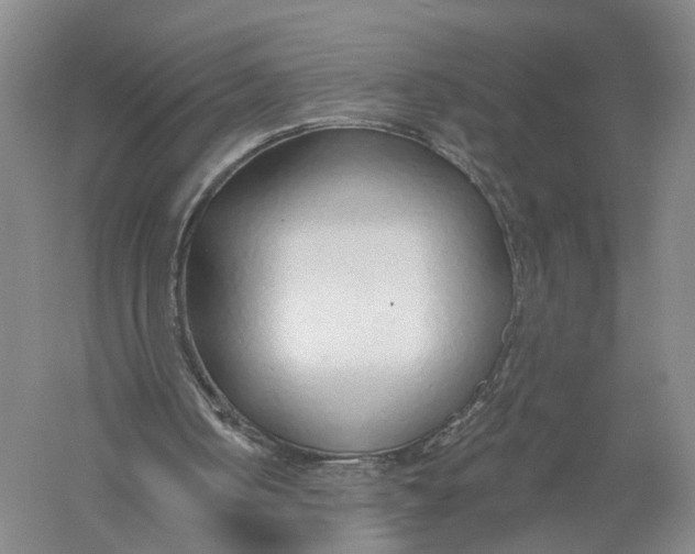 X0000056310050200509231931