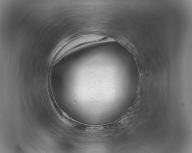 X0000056310051200509231931