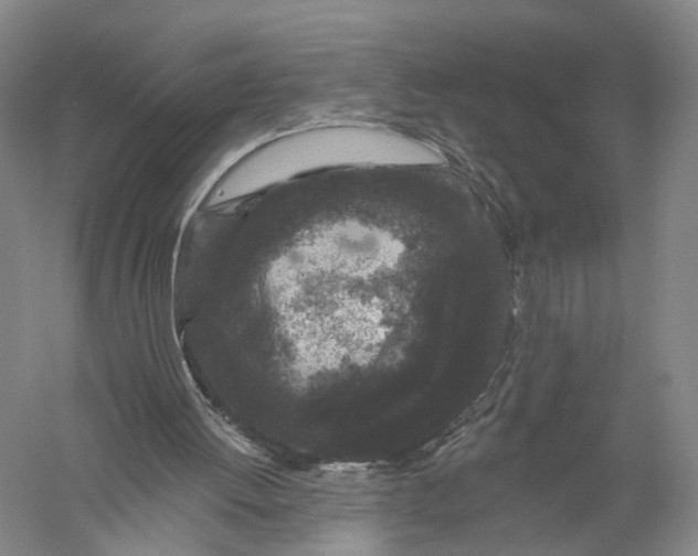 X0000056310052200509231931