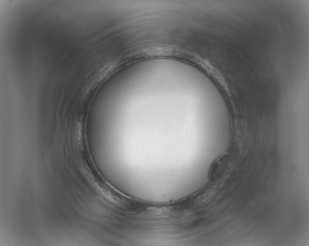 X0000056310057200509231931