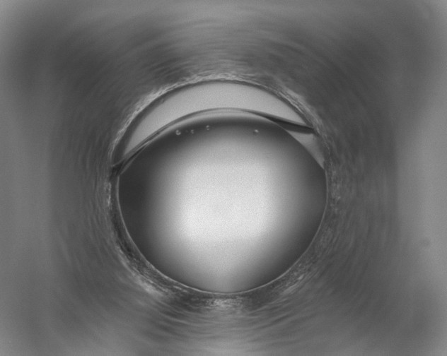 X0000056310060200509231931