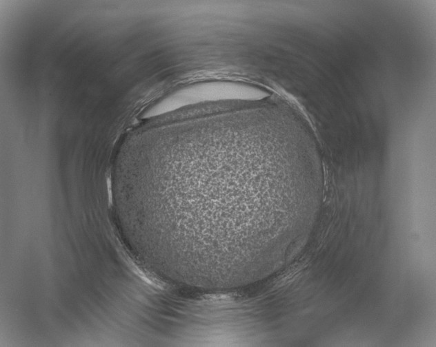 X0000056310061200509231931