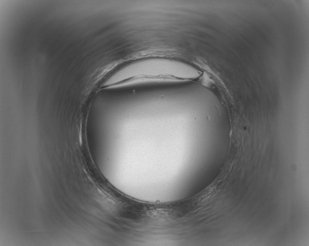 X0000056310062200509231931