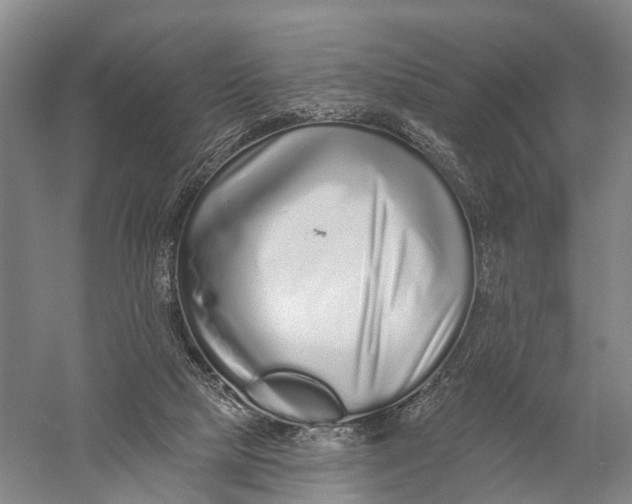 X0000056310065200509231931