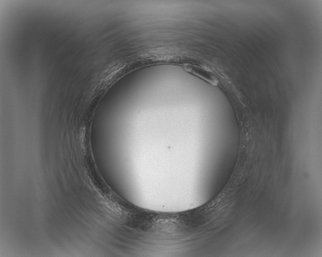 X0000056310066200509231931