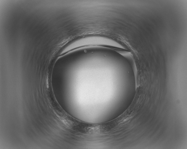 X0000056310068200509231931