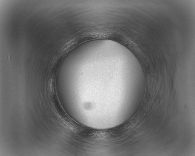 X0000056310071200509231931