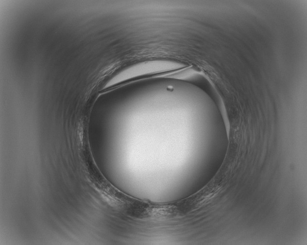 X0000056310072200509231931