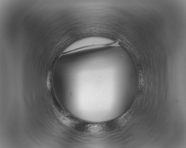 X0000056310074200509231931