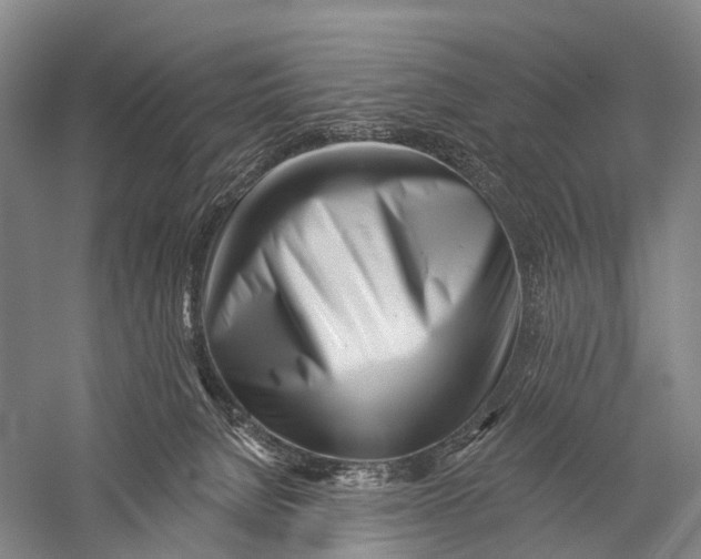 X0000056310080200509231931