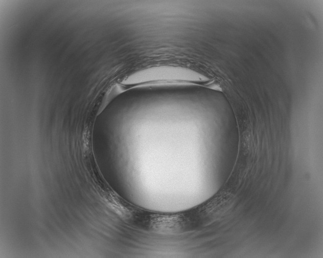 X0000056310081200509231931