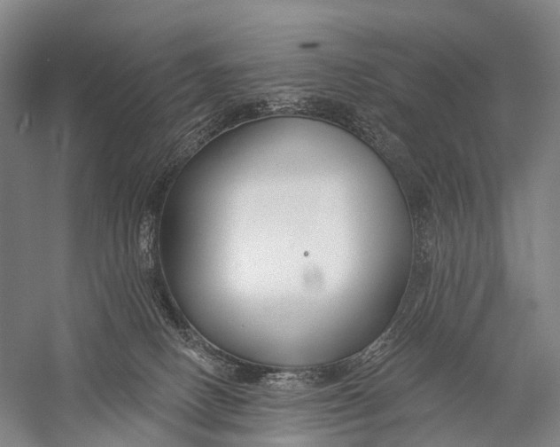 X0000056310082200509231931