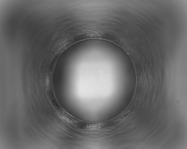 X0000056310084200509231931