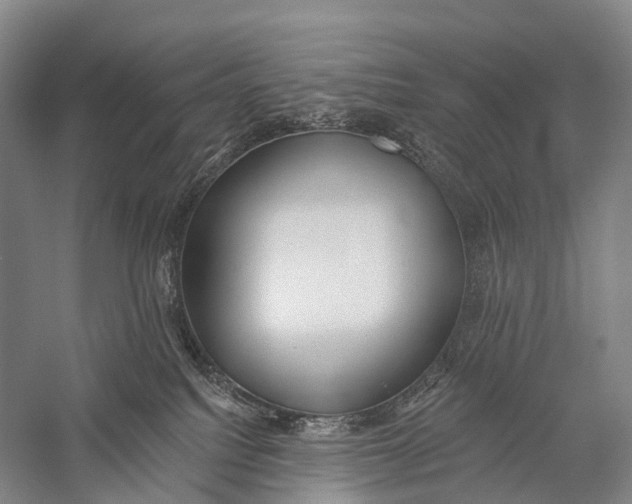 X0000056310088200509231932
