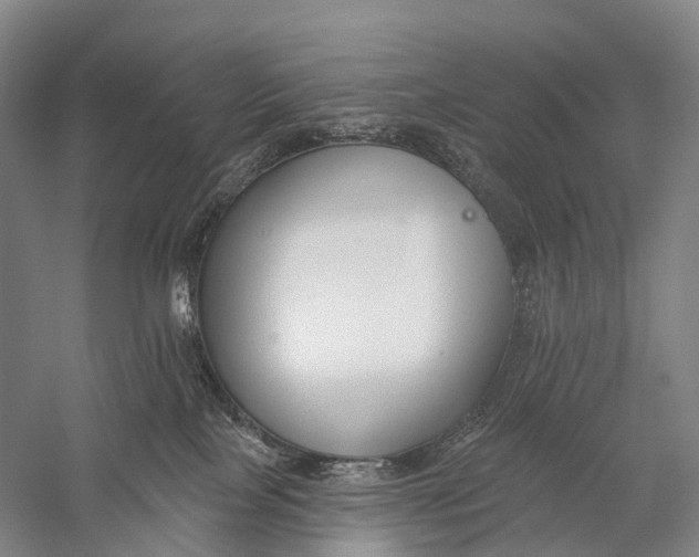 X0000056310089200509231932