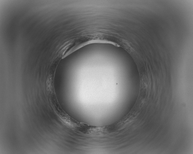 X0000056310092200509231932