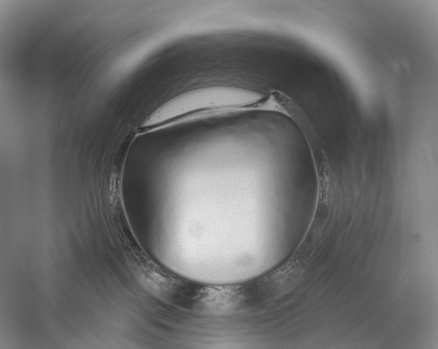 X0000056310093200509231932