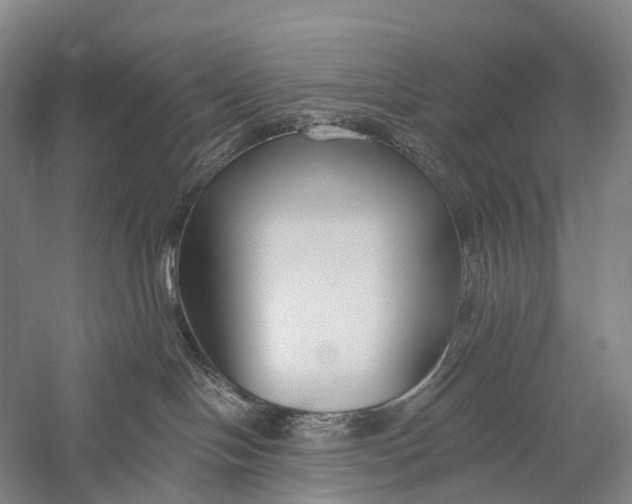 X0000056310094200509231932