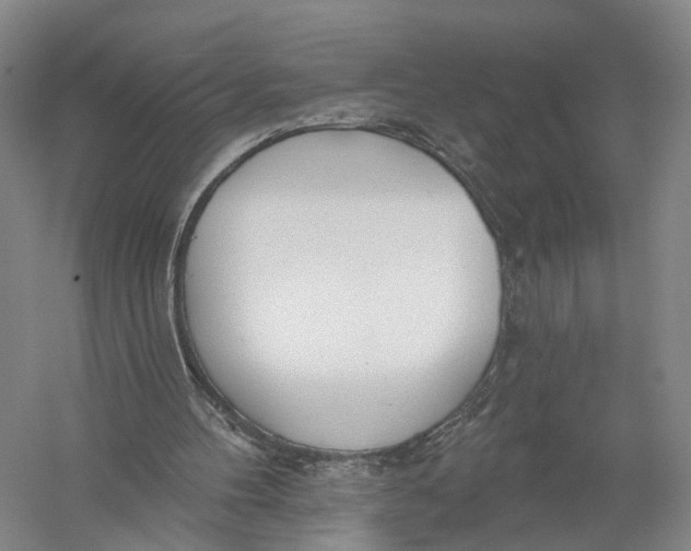 X0000056310100200509231931