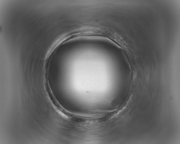 X0000056310101200509231931
