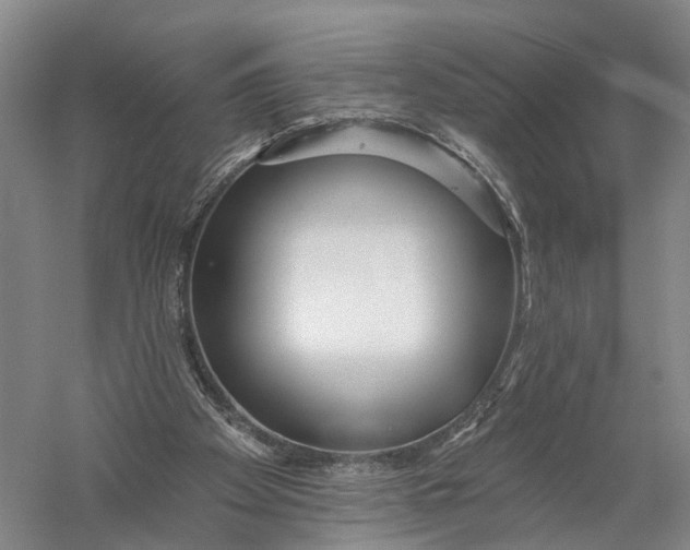 X0000056310105200509231931