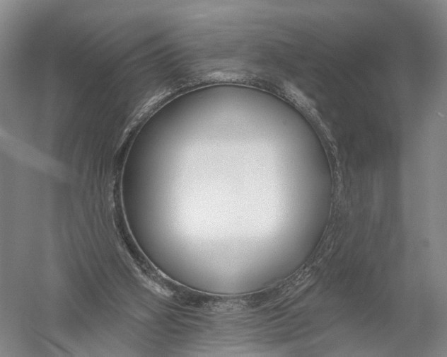 X0000056310106200509231931